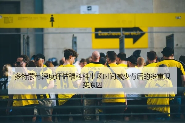 多特蒙德深度评估穆科科出场时间减少背后的多重现实原因